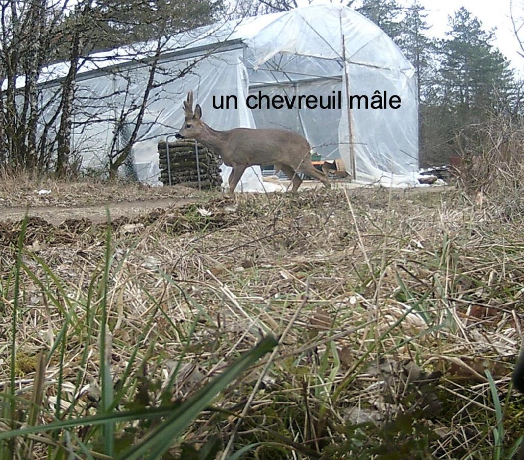Domaine De Couchenoire 호텔 Joux-la-Ville 외부 사진